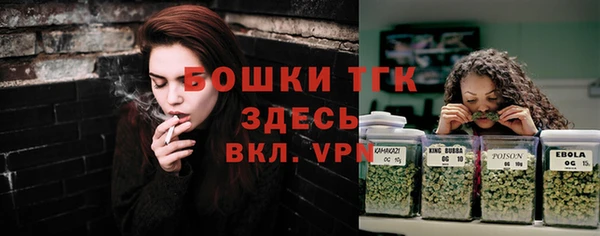 дмт Алексин