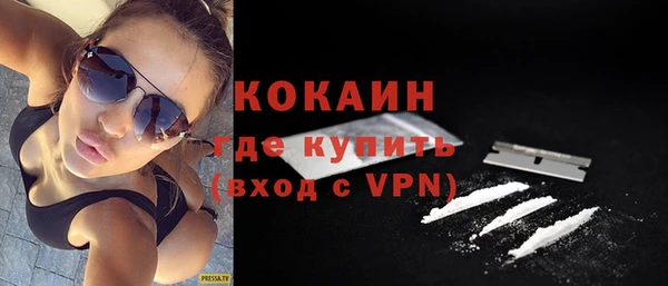 дмт Алексин