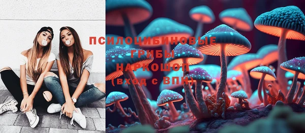 дмт Алексин