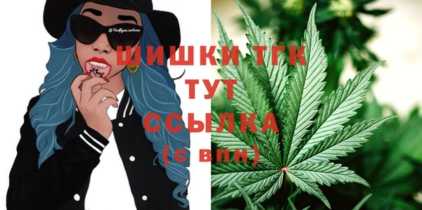 дмт Алексин