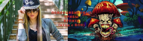 дмт Алексин