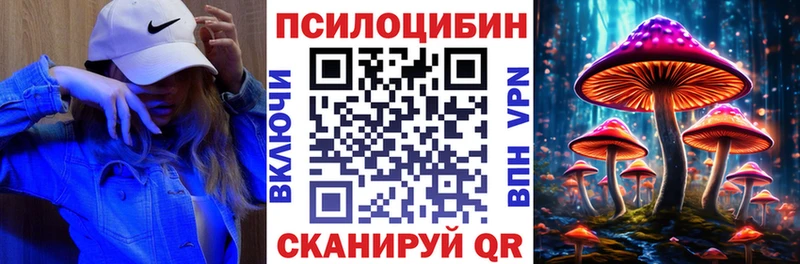 закладки  Петровск-Забайкальский  blacksprut ссылка  Псилоцибиновые грибы мицелий 